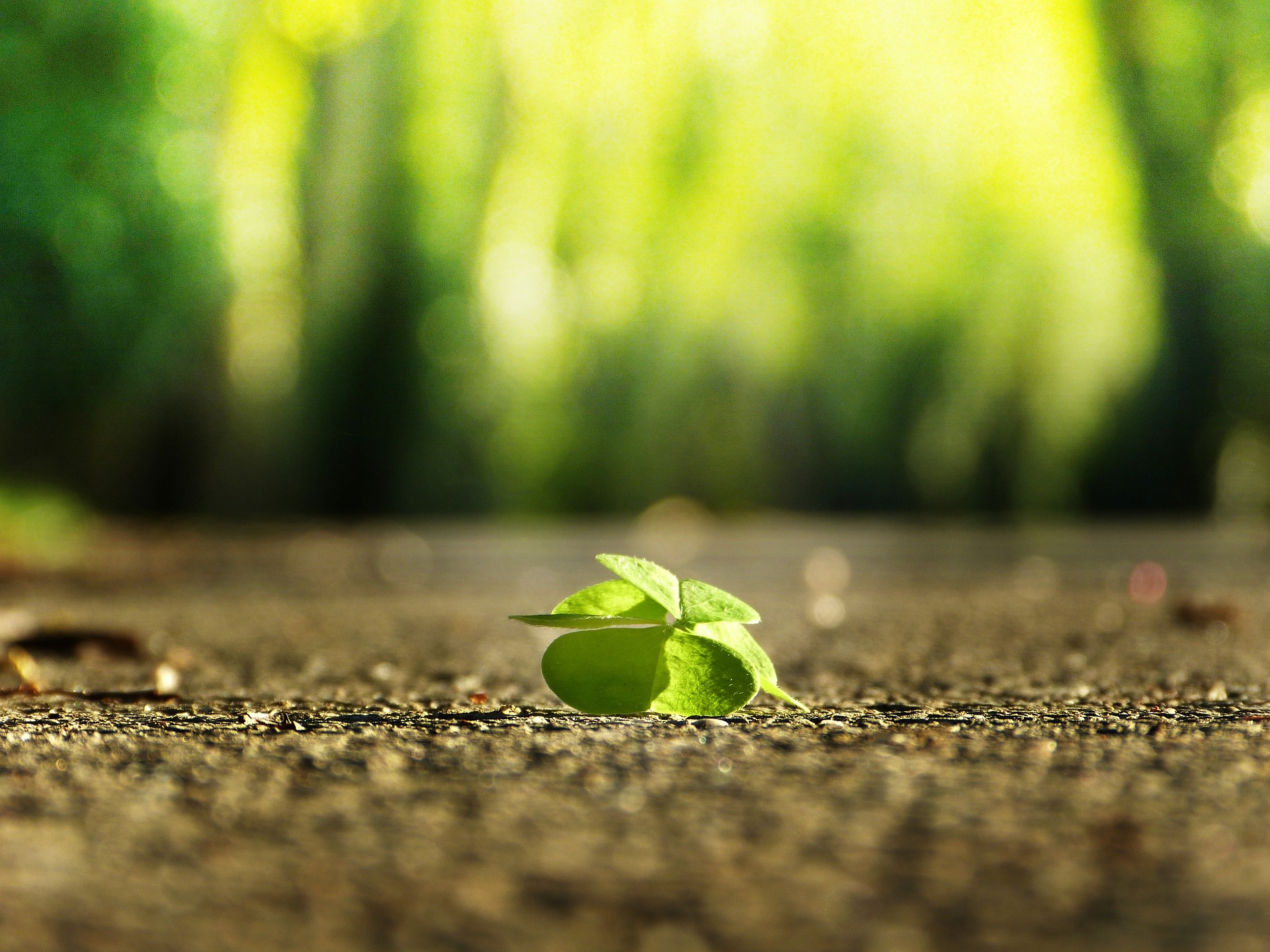 Background